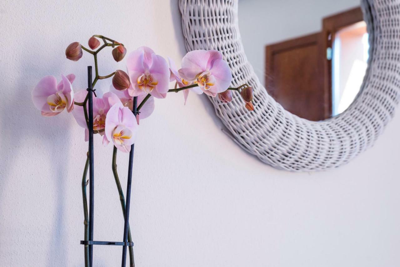 Romantic & Charming Apartment Scarlino Εξωτερικό φωτογραφία